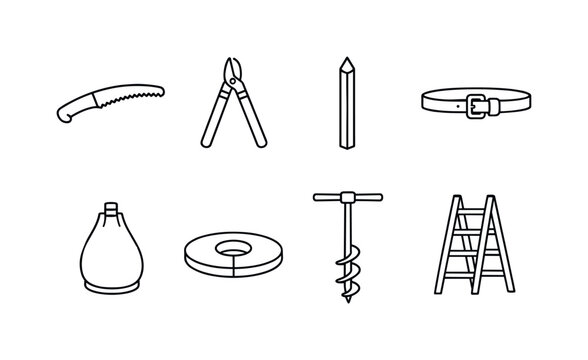 Garden tree care tools: pruning saw, lopper, tree stake, support tie, watering bag, mulch ring, soil auger, ladder
