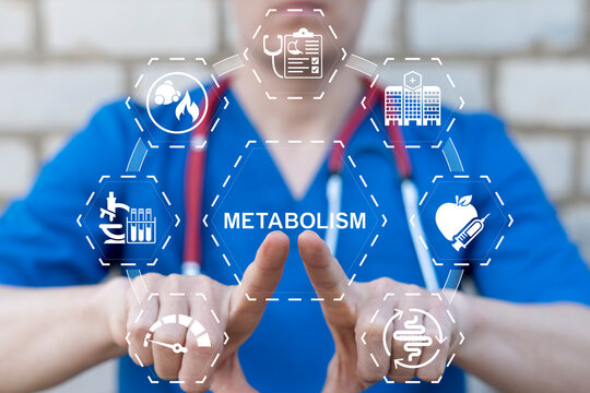 Concept of metabolism. Symbiosis Medical Human Comprehensibility Metabolic Syndrome.