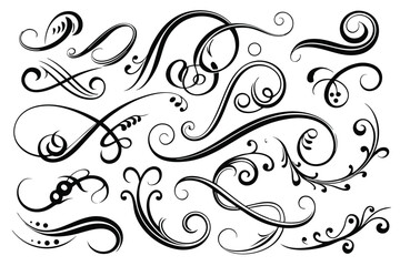 Fototapeta premium set calligraphic swirls line art silhouette vector illustration