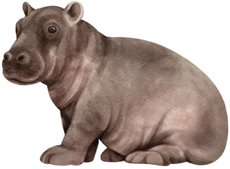 Obraz premium Hippopotamus watercolor