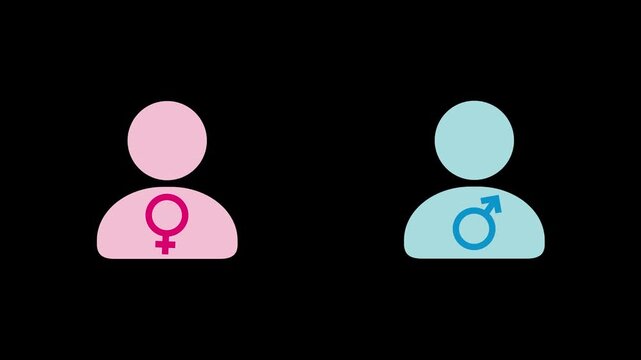 Concept image of gender equality. Female and male symbols. Hand writing equal sign on blackboard. Motion graphics of sex idea