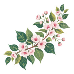 Pink flowers with green leaves on a branch isolated on a transparent background