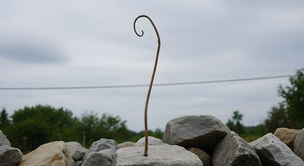 Curved Metal Hook Protruding from Rough Stone Wall Amid Overcast Sky copper-colored hook
