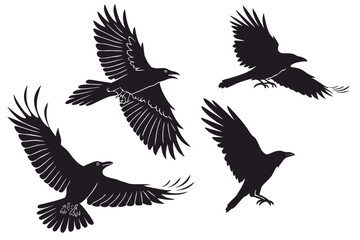 Fototapeta premium A set of four black birds in flight on a white background