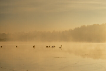 poranne wschody © Stanisaw