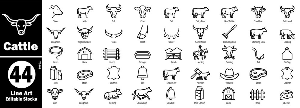 Cattle line art editable stock set. Transparent background vector illustration.