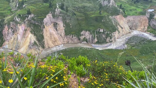 Colca Canyon, a river canyon one of the world's deepest
Arequipa, Arequipa, Peru