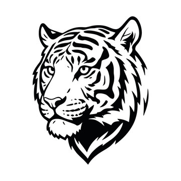 Powerful black Royal Bengle tiger of Asia head vector illustration featuring a wild feline predator mascot design