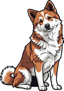 Thai Bangkaew Dog sitting tilting head curious pose illustration