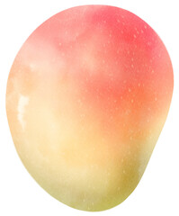 Fototapeta premium Mango Fruit Watercolor illustration