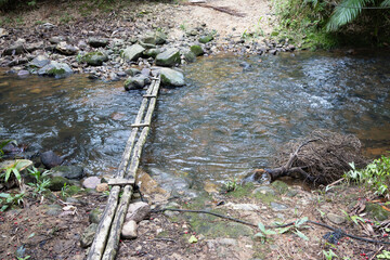 A very narrow bridge formed by two thin, round pieces of wood connected by alternating wooden slats. This photo is taken over a narrow stream