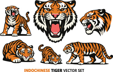 Dynamic Indochinese Tiger Vector Set - Majestic Big Cat Illustrations for Wildlife, Strength, and Asian Culture Designs. Roaring, Walking, and Resting Poses Included.