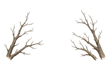 Obraz premium Dry bare tree branches with no leaves, a natural element for winter, fall, or spooky designs, isolated on transparent background