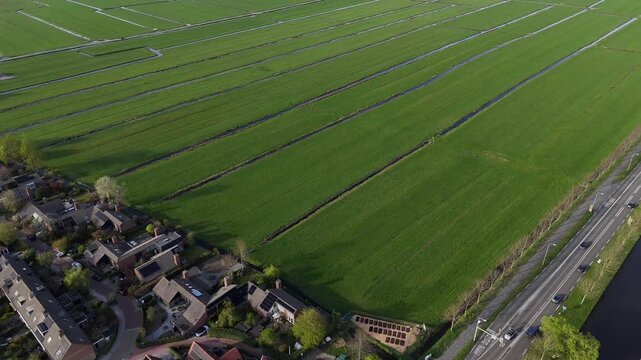 campos de holanda, primavera