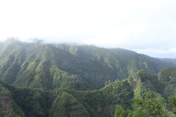 Fototapeta premium Mountain ridge covered in clouds, Madeira Island Portugal