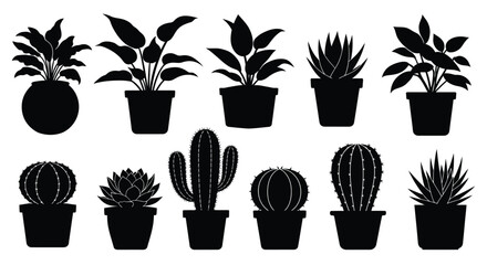 Black silhouette illustrations of various potted indoor plants and cacti