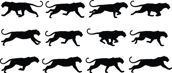 Silhouettes of cheetah running sequence, animal motion, sprinting pose, wildlife movement, black illustration, speed, dynamic stride, nature reference © MstGeasmin