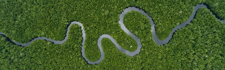 Aerial View of Winding River Through Mangrove Forest