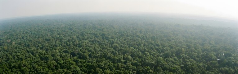 Aerial View of Vast Green Forest Under Hazy Sky