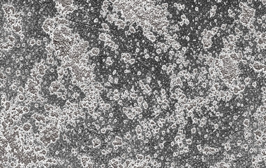 Wall Texture Overlay, Realistic stains, and natural wear,  with transparent background