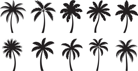 Various black silhouettes of tropical palm trees stand against a clean white backdrop