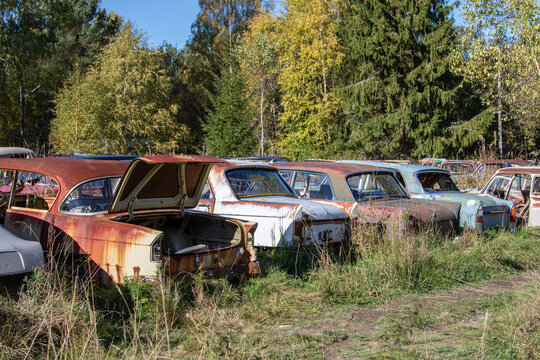 Old junk cars at an abandoned scrapyard , Sweden