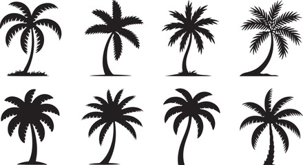 Fototapeta premium Black silhouettes of various palm trees with different frond shapes and trunk postures
