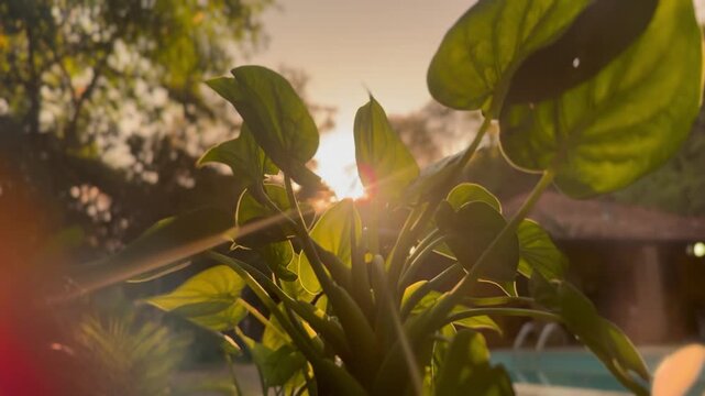 P&ocirc;r do sol no final da tarde pintando o c&eacute;u com tons dourados e alaranjados. Uma paisagem que transmite paz, liberdade e inspira&ccedil;&atilde;o, perfeita para projetos criativos, campanhas publicit&aacute;rias.