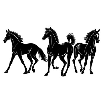 A black vector illustration of a wild stallion silhouette and an equestrian rider galloping through nature, featuring a running horse with a flowing mane and tail