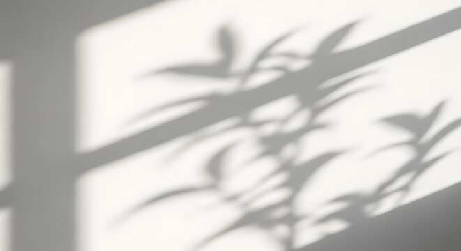 Abstract aesthetic background with sunlight coming through a window