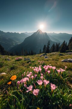 Spring Awakening: Mountain Landscape with Flowers and Sun over the Peak &mdash; Symbol of Nature&rsquo;s Renewal