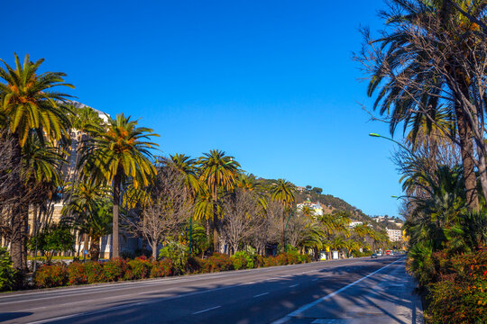 Paseo del Parque with Malaga City Hall and Mediterranean architecture under a clear sky during a bright day in the coastal city center with tropical palm trees and historical municipal building.