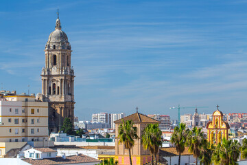 Fototapeta premium Malaga city center skyline with the cathedral tower and yellow church bell tower viewed over rooftops under a clear blue sky with tropical palm trees and urban architecture in Andalusia.