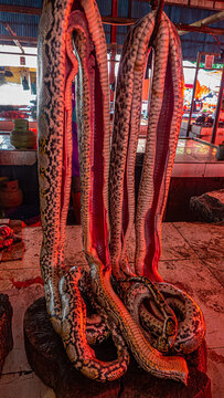 Wet Asian markets.Food tastes disgusting to European.But it's poor country, eat everything, including rare animal species.Providing population with normal food global problem.Embowel regal python. ID