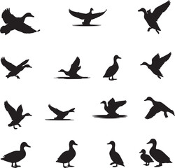 Set of duck silhouette vector illustration .