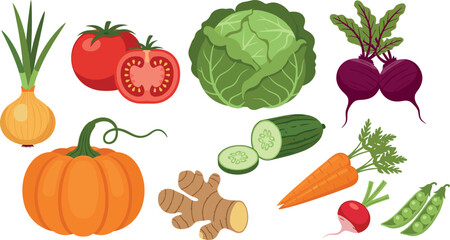 Set of Fresh Organic Vegetables with Pumpkin Tomato Cabbage Carrot and Beetroot