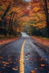 Obraz premium Autumn travel