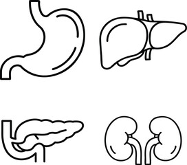 Digestive and Renal Organ Line Icon Set with Stomach, Liver, Pancreas and Kidneys