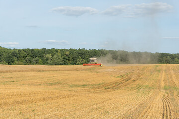 Fototapeta premium Combine Harvester Works Diligently Across Golden Fields With Dust Clouds Swirling Under a Blue Sky in the Late Afternoon Sun