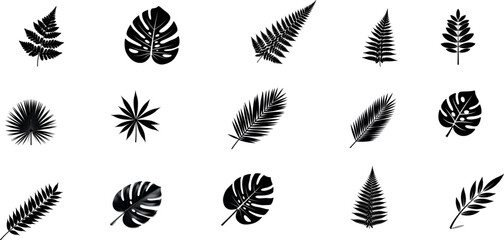 Collection of various fern and palm leaves in black silhouette © RumanaAkter