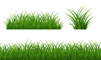 Obraz premium Green Grass Set Border Isolated White Backgroud