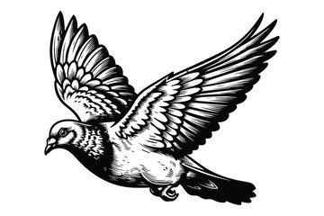 Fototapeta premium Dove in Flight, Vintage Engraving Style Bird Illustration