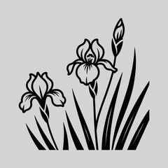 A minimalist black and white illustration depicting two iris flowers with slender leaves high quality