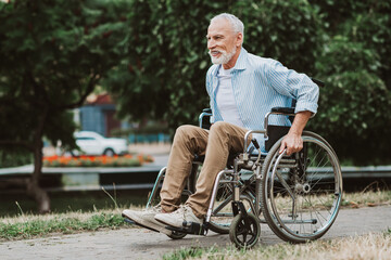 Obraz premium Heartwarming grandpa in a wheelchair enjoying a sunny park day with family and friends and the joy of mobility