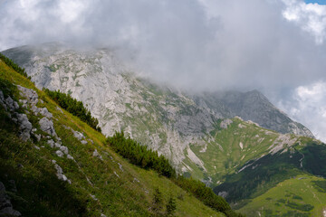 Grassy slope of a high mountain with a massive cloud-shrouded peak in the background