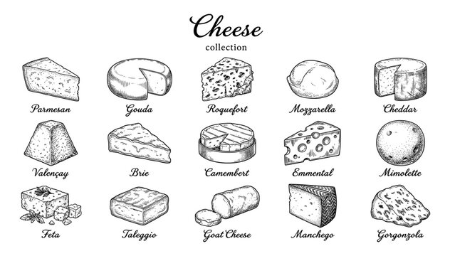 Cheese collection with parmesan gouda and brie