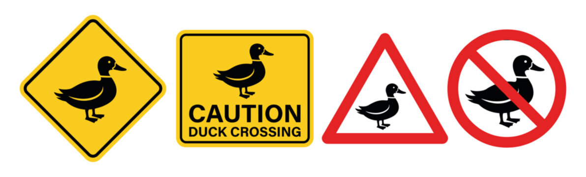 Duck crossing road sign set with caution notice