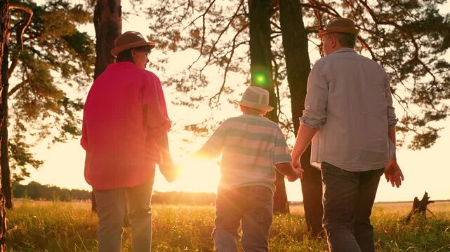 Parents, son child walk hand in hand in park, sunset. Family walk in summer forest. Happy family, father mother, kid son, hiking in nature. Family picnic, outdoor recreation. People relaxing together