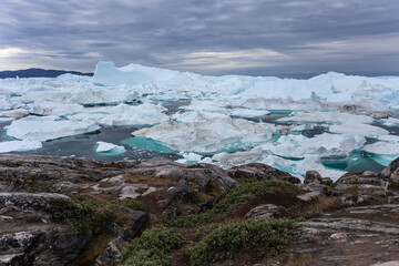 Ilulissat Icefjord Panorama with Turquoise Ice Formations, Tundra Vegetation and Dramatic Arctic Sky in Greenland