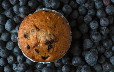 Delicious golden muffin with blueberries, healthy breakfast pastry, fruit dessert background, homemade bakery concept, top view © Magdalena